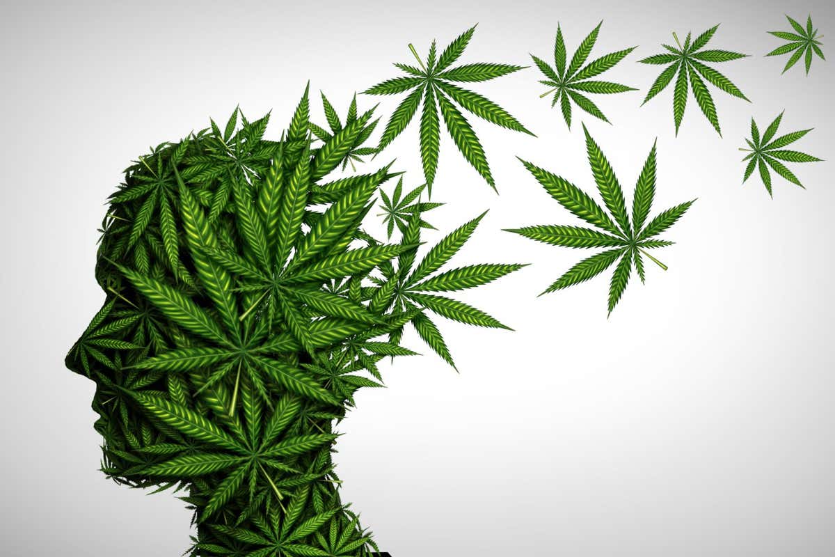 W3TAKD Marijuana effects on the brain and cannabis mood altering chemicals or psychology and drugs concept in a 3D illustration style.