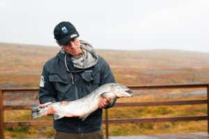 A volunteer from the North Atlantic Salmon Fund with one of the escapee salmon